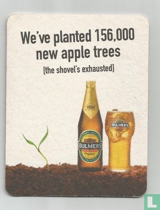 We've planted 156.000 new apple trees - Image 1