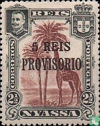 Giraffe with Provisorio print