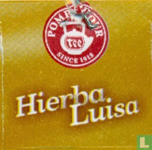 Hierba Luisa   - Afbeelding 3