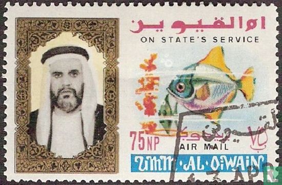 Sheikh Ahmad   