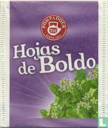 Hojas de Boldo - Image 1