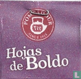 Hojas de Boldo - Afbeelding 3