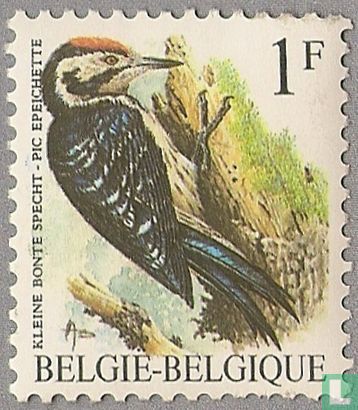 Pic épeichette - Image 1