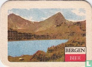 Bergenbier 5