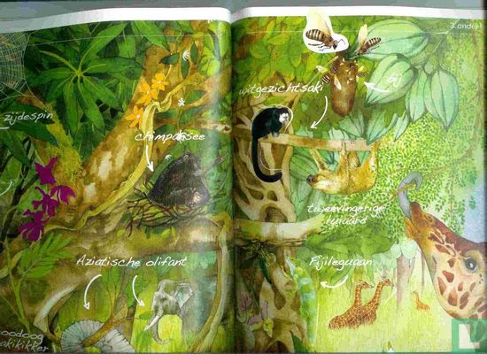 Bosdieren boek - Afbeelding 3
