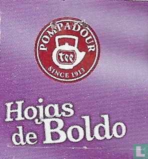 Hojas de Boldo  - Afbeelding 3