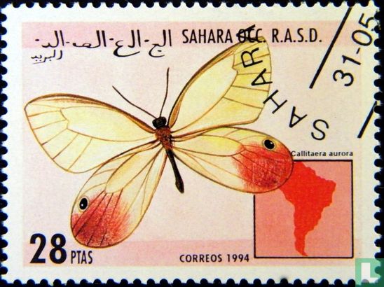 Sahara OCC R.A.S.D, Vlinders