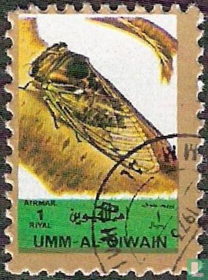 Insects (small size)  