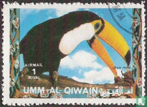 Oiseaux     