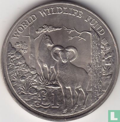 Cyprus 1 pound 1986 "25th anniversary World Wildlife Fund" - Afbeelding 2