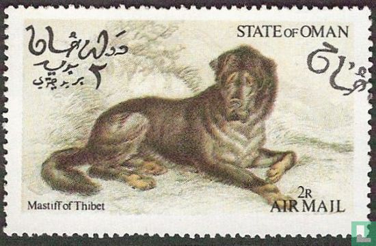 Mastiff tibétain