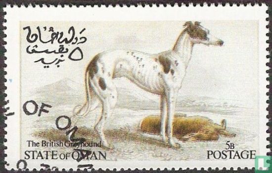 British Greyhound