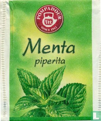 Menta - Bild 1