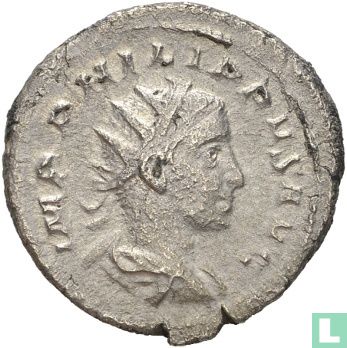 Philippe II 247 à 249, AR Antoninianus Rome 248 - Image 2