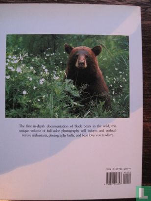 Black Bear - Image 2