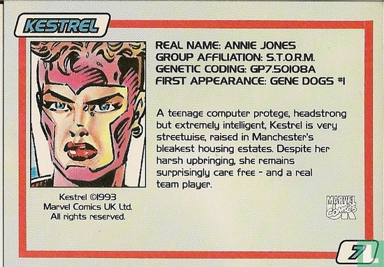 Kestrel - Image 2