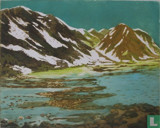 Arctisch Landschap - Image 1