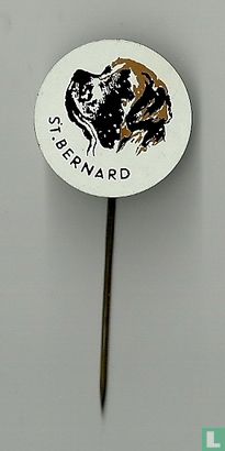 St. Bernard - Bild 2