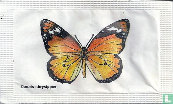 Danais chrysippus - Bild 1