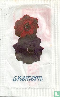 Anemoon   - Bild 1