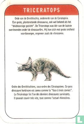 triceratops - Afbeelding 2