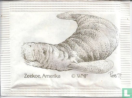 Zeekoe, Amerika - Afbeelding 1