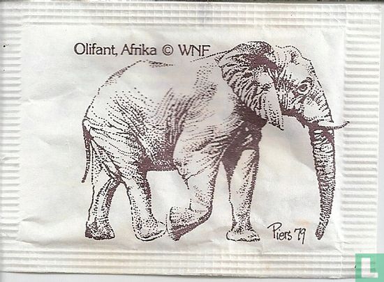 Olifant, Afrika  - Image 1