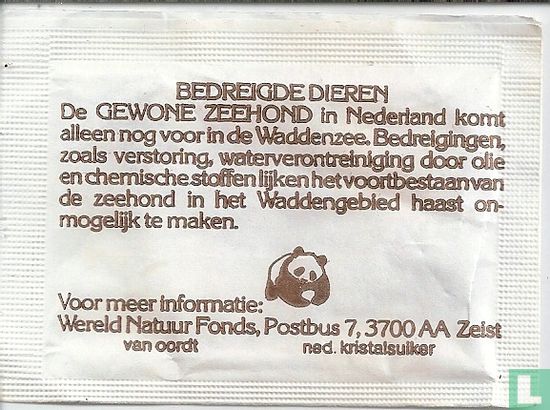Gewone zeehond, Nederland  - Image 2