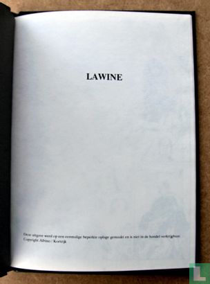 Lawine - Bild 3
