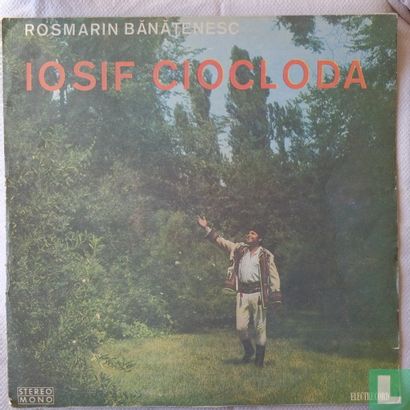 Rosmarin Banatenesc - Image 1