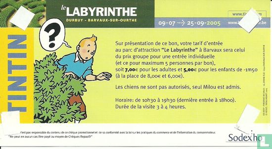 Kuifje: Le Labyrinthe - Durbuy - Afbeelding 2