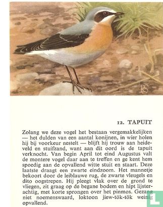 Tapuit - Image 1