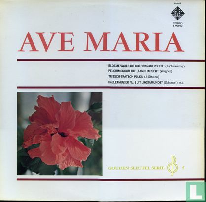 Ave Maria - Afbeelding 1