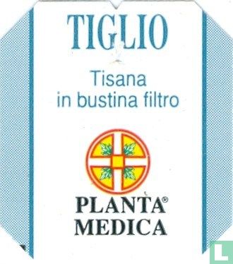 Tiglio - Afbeelding 3