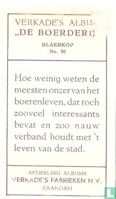 Blaerkop - Image 2