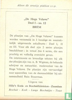 Brem - Image 2