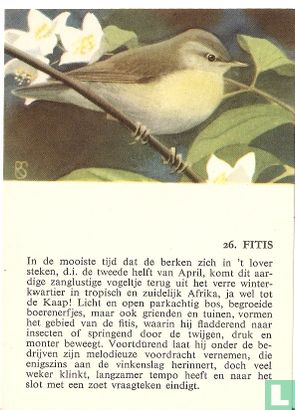 Fitis - Bild 1