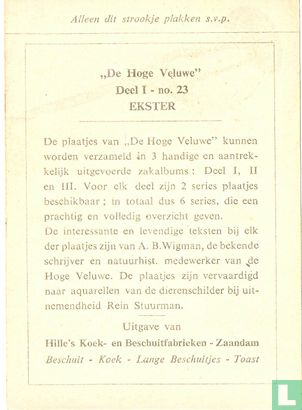 Ekster - Bild 2