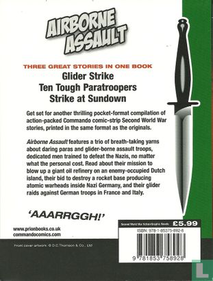Airborne assault - Image 2
