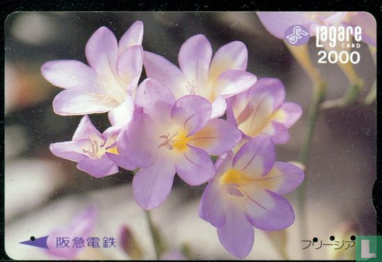 Bloemen (Hankyu Railways) Lagare Card