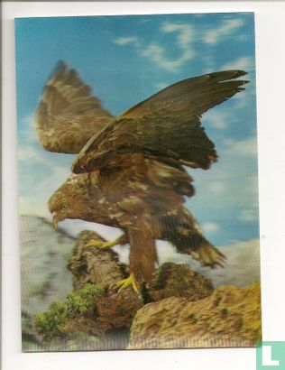 Eagle - Afbeelding 1