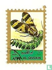 Insects (small size)