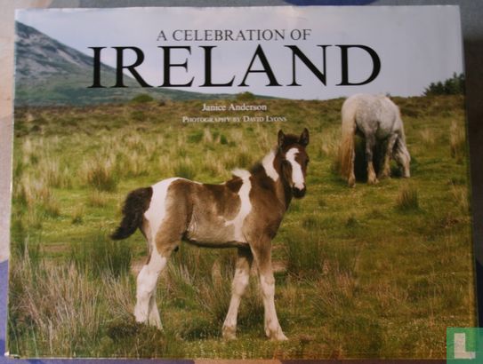 A Celebration of Ireland - Image 1