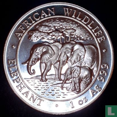 Somalië 100 shillings 2013 (kleurloos) "Elephant" - Afbeelding 2