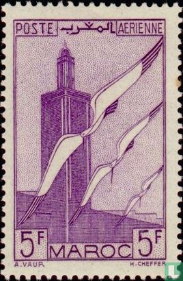 Minaret van Schellah en meeuwen