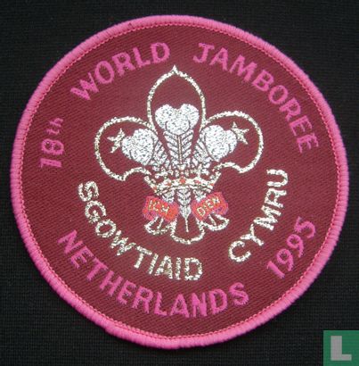 Welsh contingent - 18th World Jamboree
