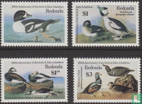 Birds