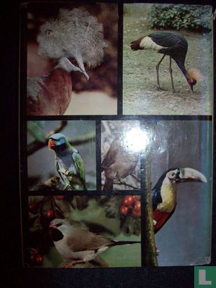 Das Große Bilderlexikon der Vögel - Afbeelding 2