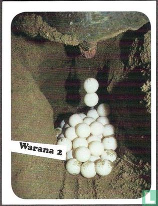 Warana 2 - Bild 1