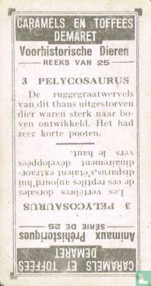 Pelycosaurus - Bild 2